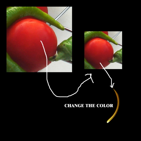Creation of Unique: Step 2